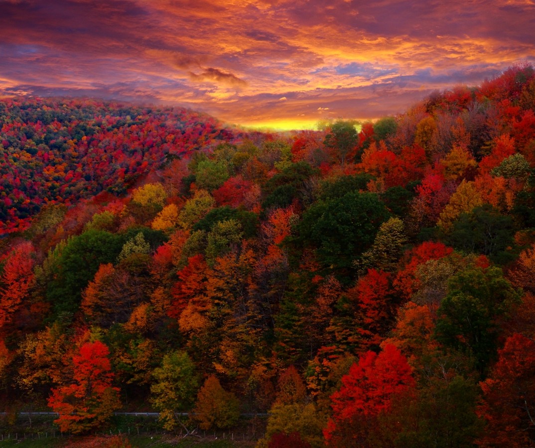 Fall Foliage in Western North Carolina